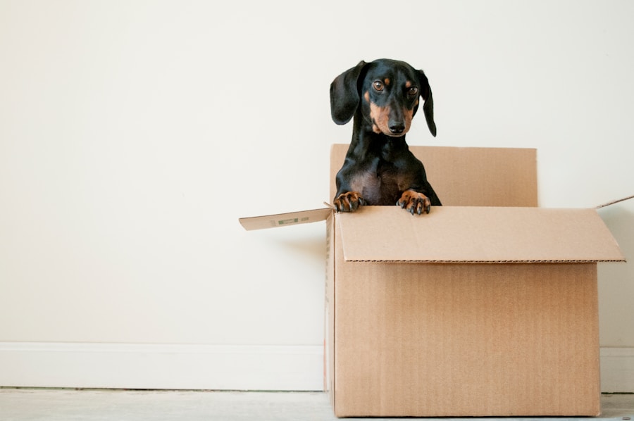 Photo "How to Reduce Moving Costs: 8 Clever Saving Tips"